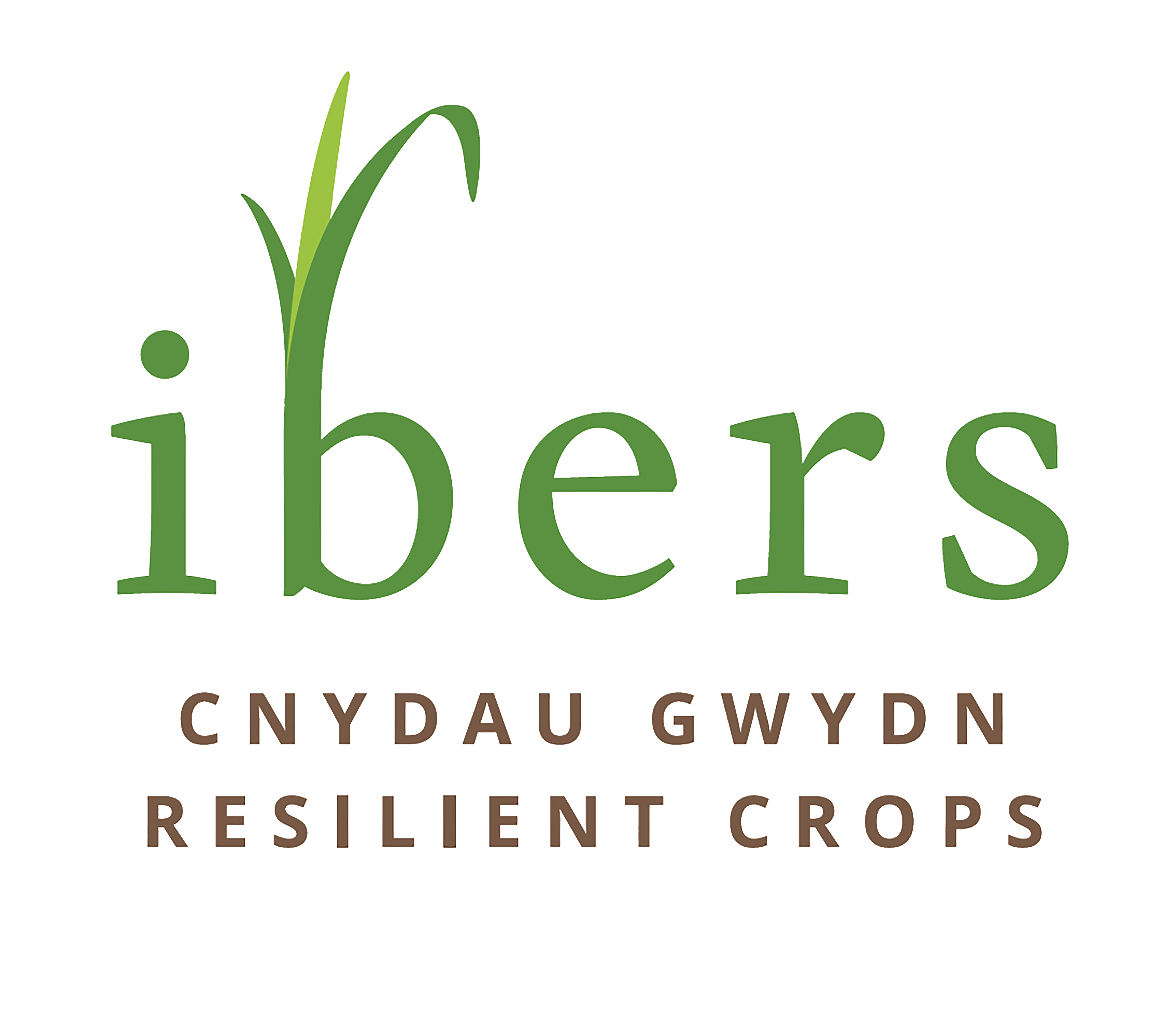 IBERS logo