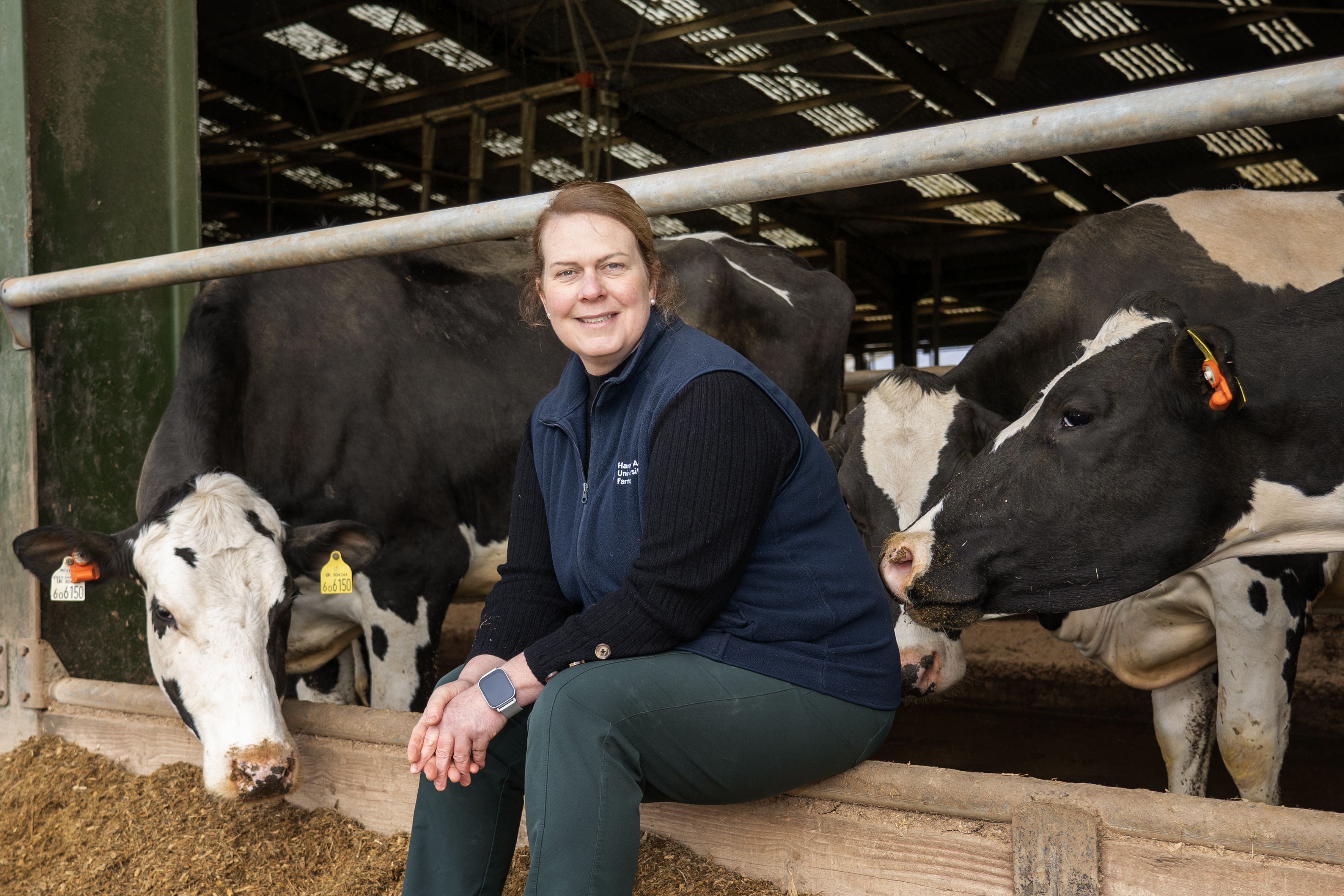 Kate Robinson, Ruminant Section Manager at Harper Adams University’s Future Farm, sits smiling in a barn beside several black-and-white cows feeding from a trough. She is wearing a navy vest over a black top with green trousers and an Apple Watch. Kate is one of eight nominees shortlisted for the 2025 Times Higher Education Outstanding Technician of the Year award.