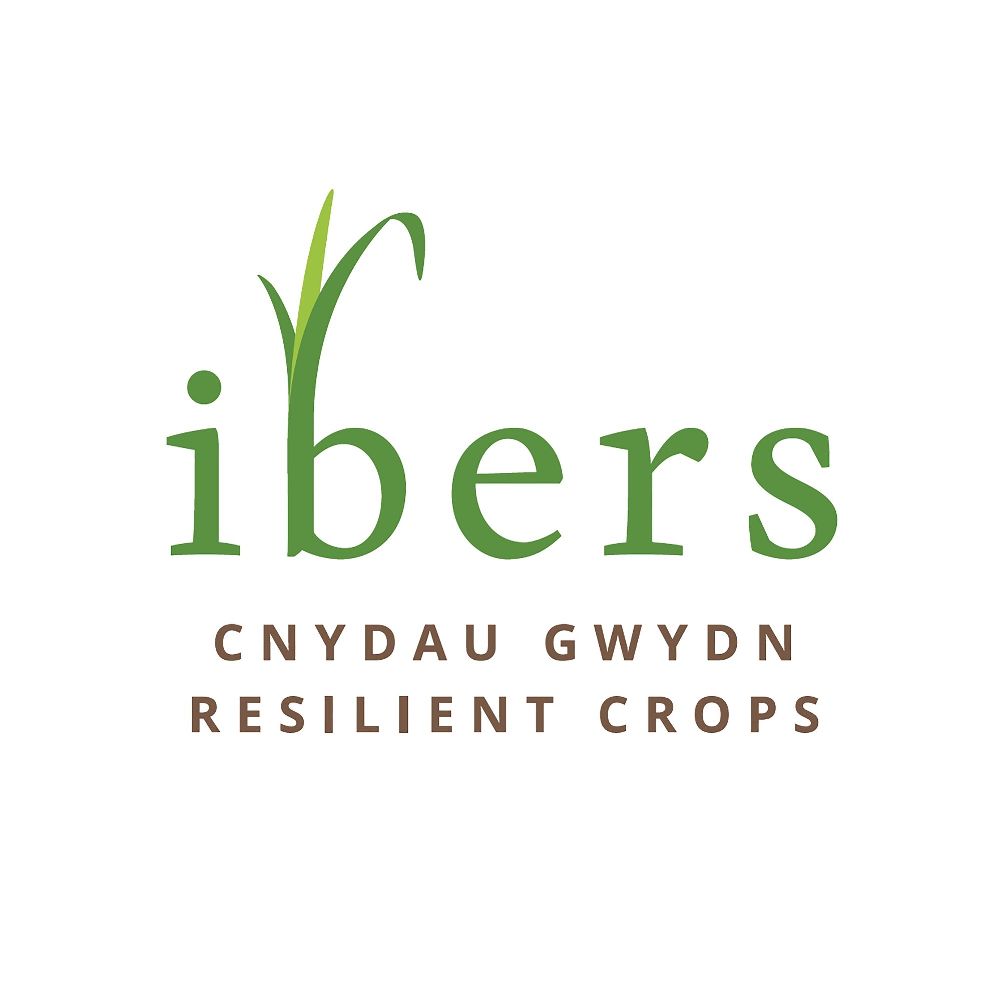 IBERS logo