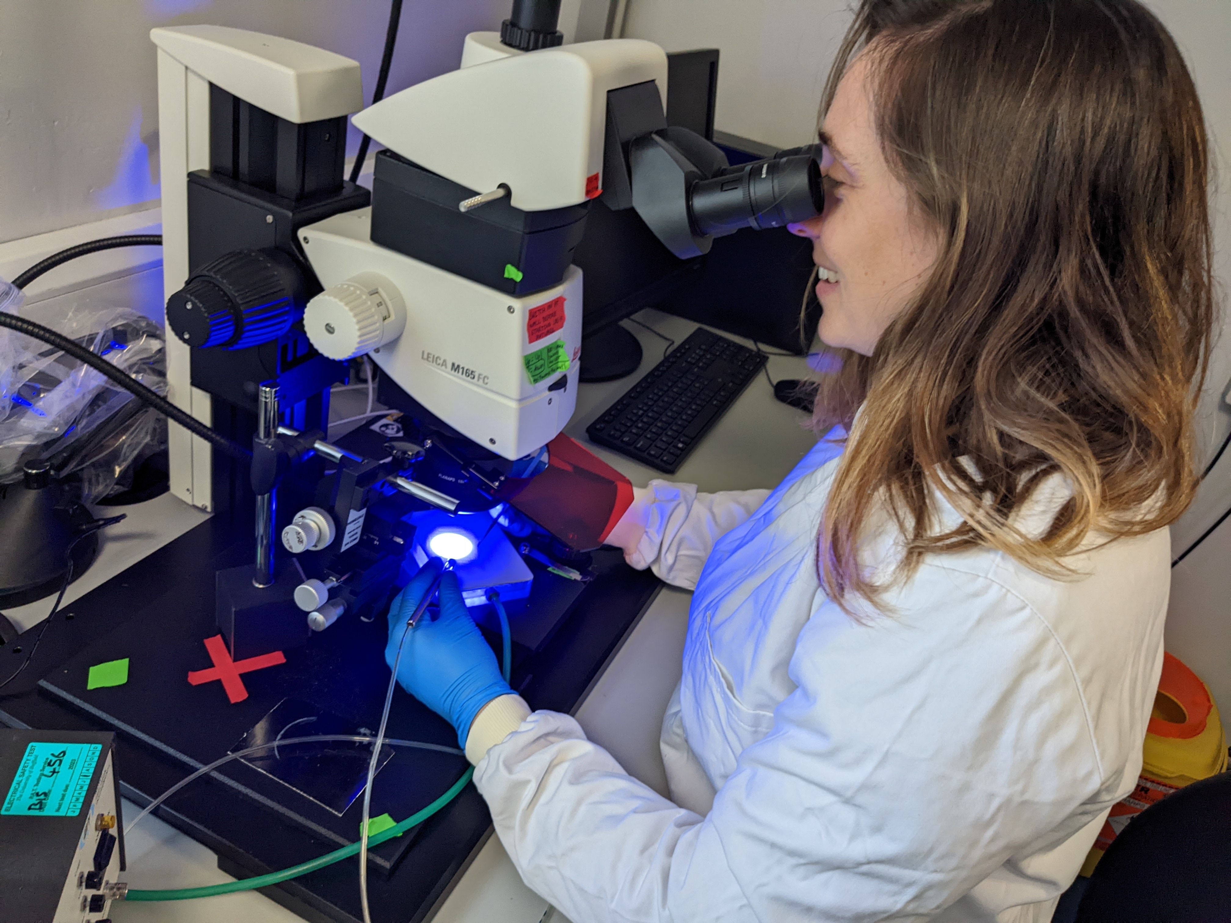 Laura, University of Sheffield